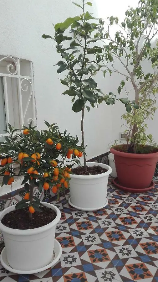*** Bed & Breakfast Demetra Rooms Palermo Italy